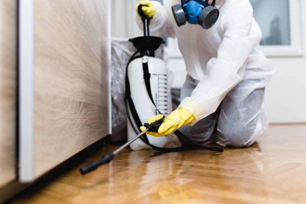 Best Best Pest Control Companies  in Hillside Lake, NY