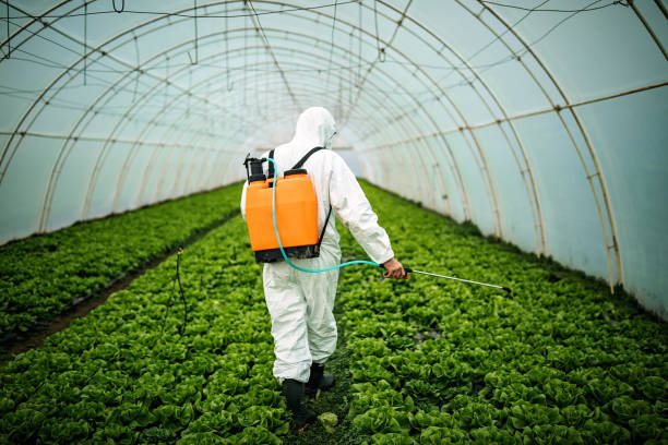 Professional Pest Control in Hillside Lake, NY