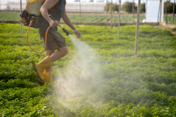 Best Pest Control for Restaurants  in Hillside Lake, NY